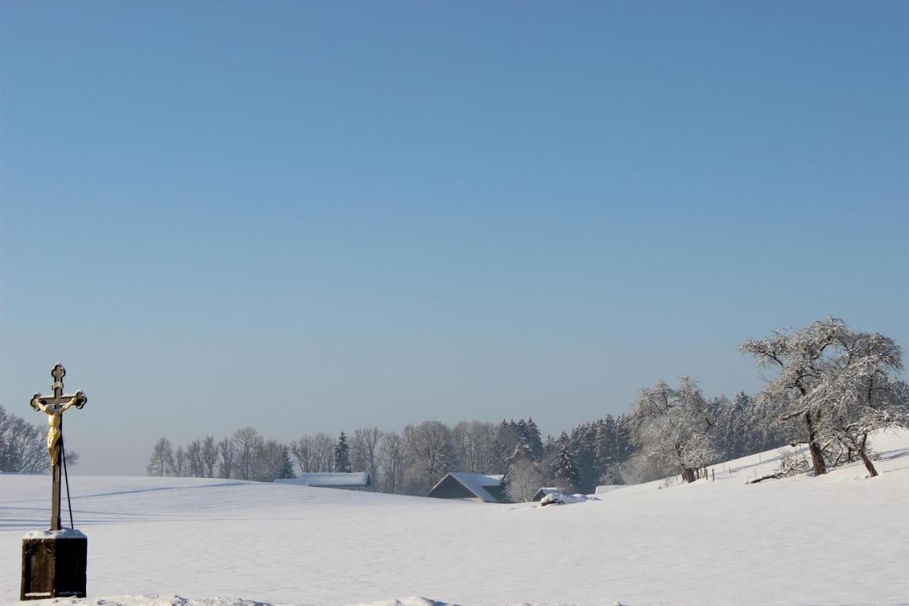 Auszeit Auf Dem Lindenhof Apartman Wangen im Allgäu Kültér fotó