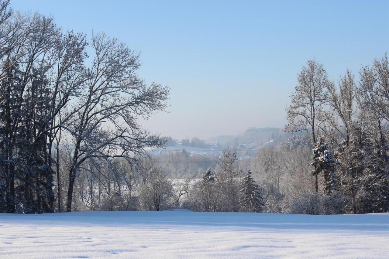 Auszeit Auf Dem Lindenhof Apartman Wangen im Allgäu Kültér fotó
